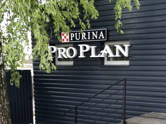 С лицевым свечением